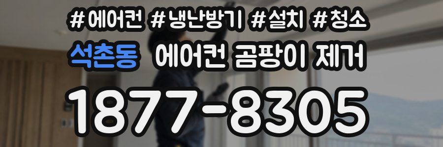 석촌동 에어컨 곰팡이 제거