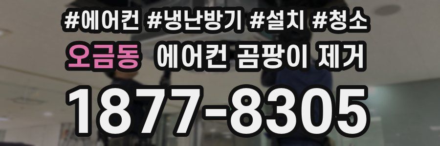 오금동 에어컨 곰팡이 제거