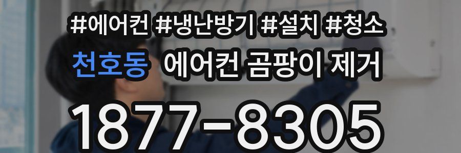 천호동 에어컨 곰팡이 제거