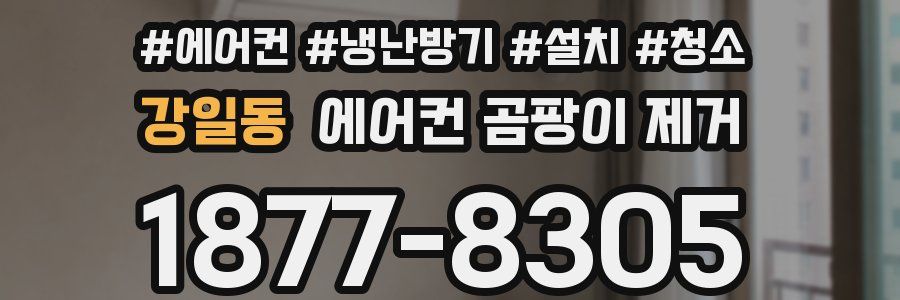 강일동 에어컨 곰팡이 제거