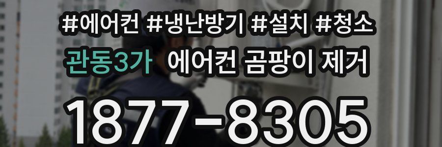관동3가 에어컨 곰팡이 제거