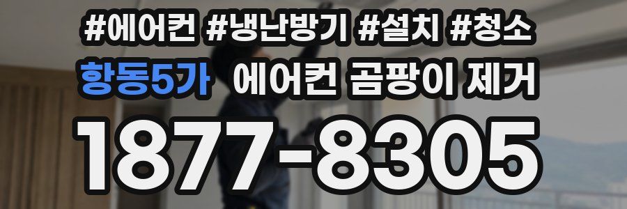 항동5가 에어컨 곰팡이 제거