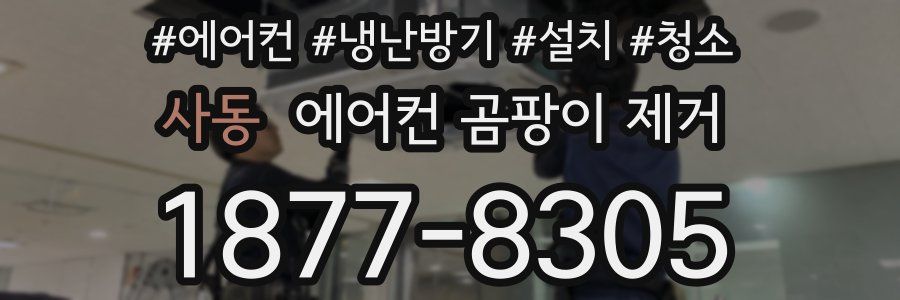 사동 에어컨 곰팡이 제거