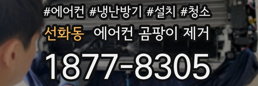 선화동 에어컨 곰팡이 제거