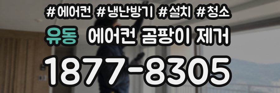 유동 에어컨 곰팡이 제거
