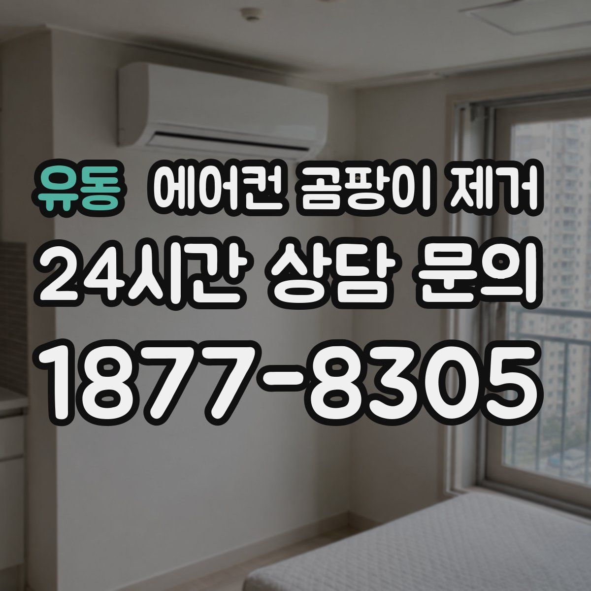 유동 에어컨 곰팡이 제거