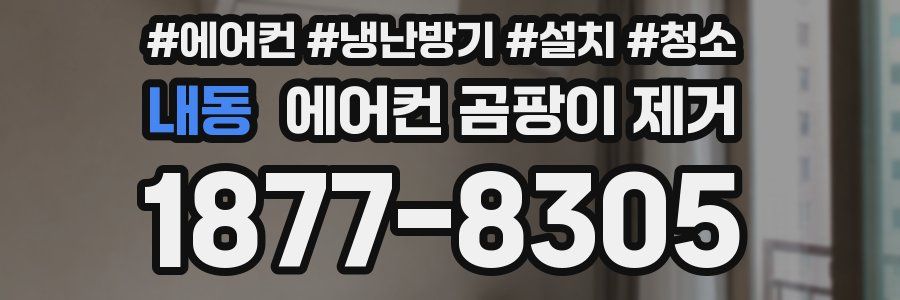 내동 에어컨 곰팡이 제거