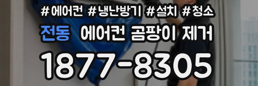 전동 에어컨 곰팡이 제거