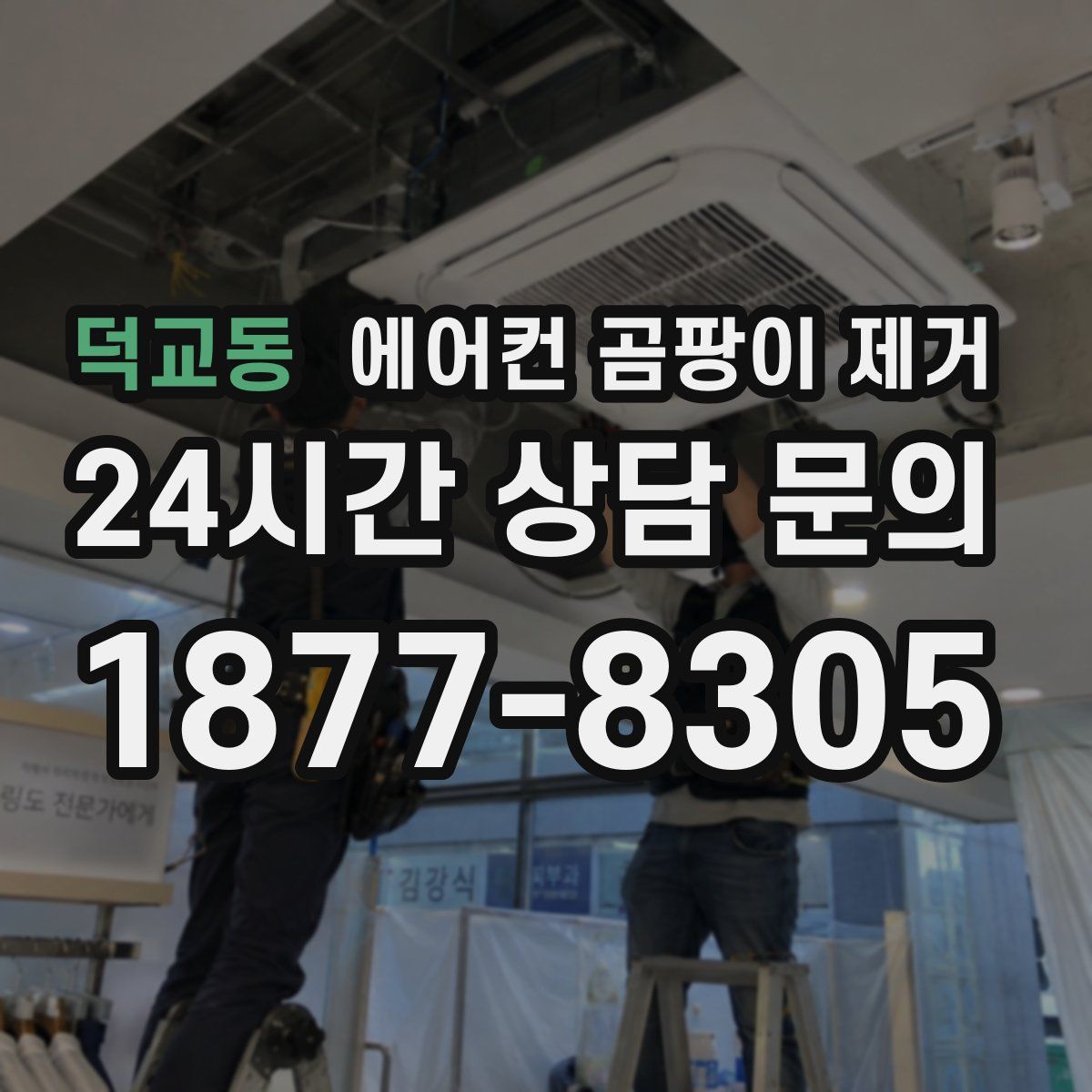덕교동 에어컨 곰팡이 제거