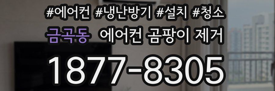 금곡동 에어컨 곰팡이 제거