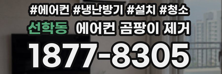 선학동 에어컨 곰팡이 제거
