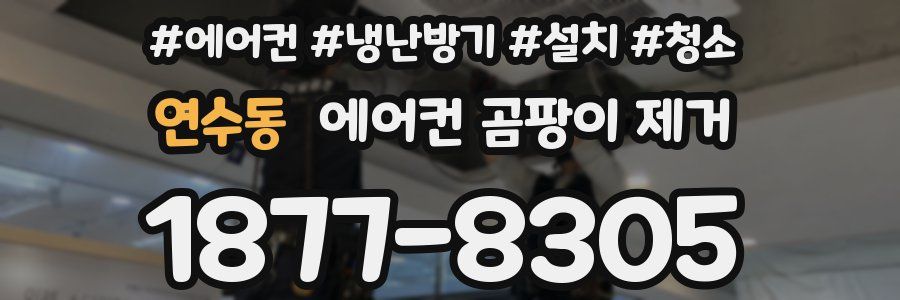 연수동 에어컨 곰팡이 제거