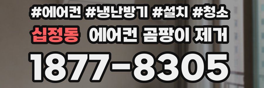 십정동 에어컨 곰팡이 제거