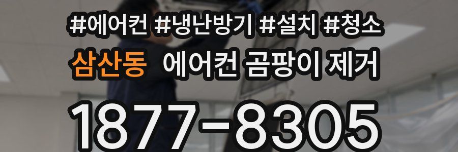 삼산동 에어컨 곰팡이 제거