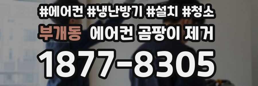 부개동 에어컨 곰팡이 제거