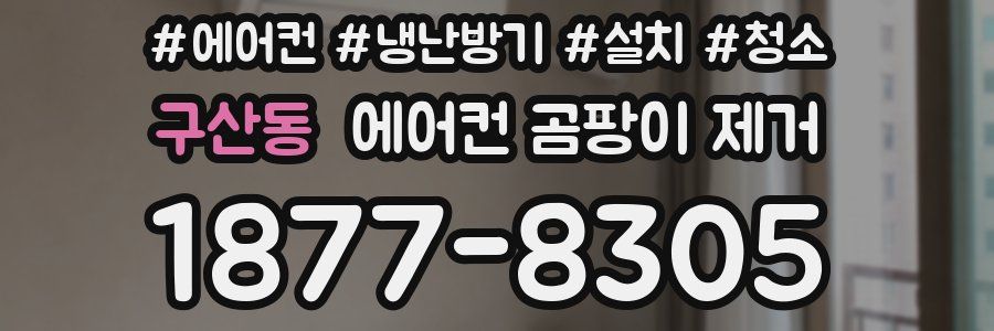 구산동 에어컨 곰팡이 제거
