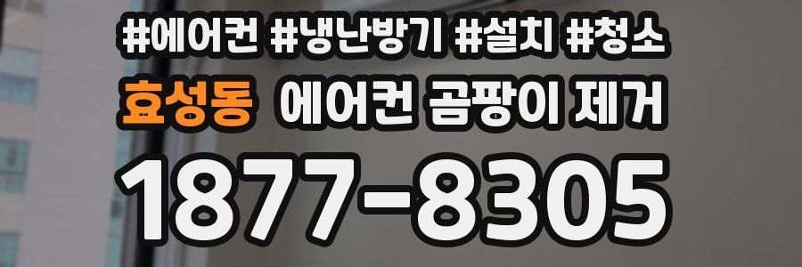 효성동 에어컨 곰팡이 제거