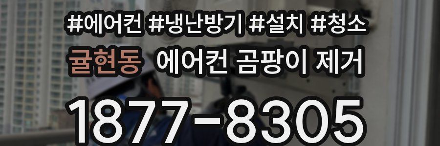 귤현동 에어컨 곰팡이 제거