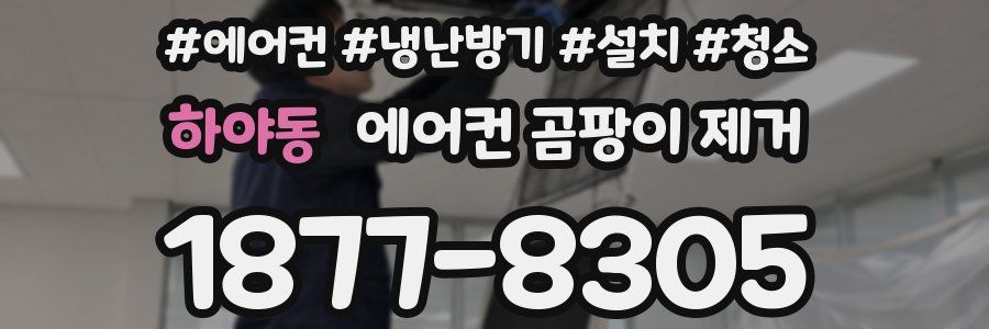 하야동 에어컨 곰팡이 제거