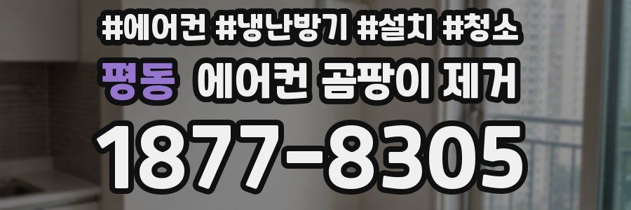 평동 에어컨 곰팡이 제거