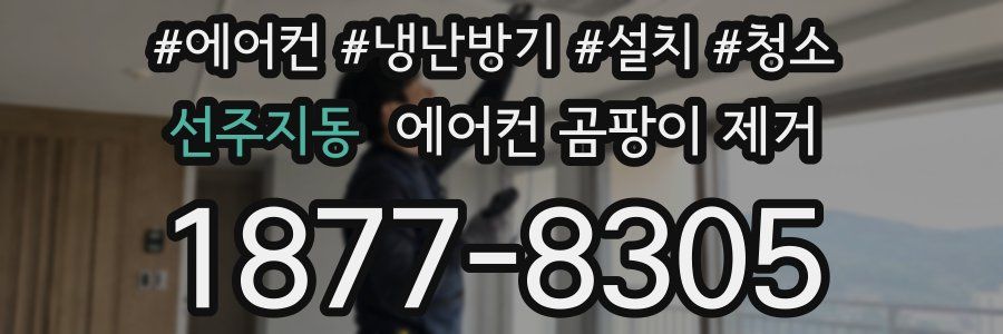 선주지동 에어컨 곰팡이 제거