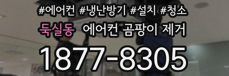 둑실동 에어컨 곰팡이 제거