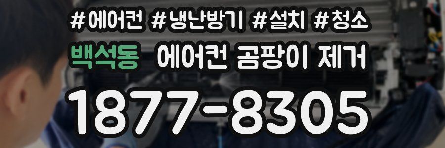 백석동 에어컨 곰팡이 제거