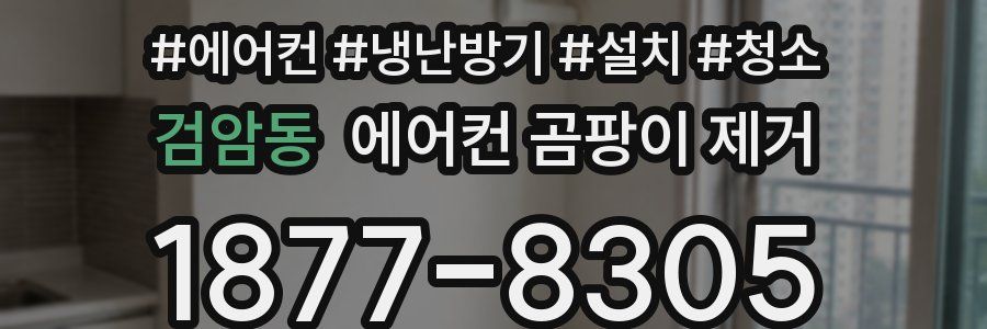 검암동 에어컨 곰팡이 제거