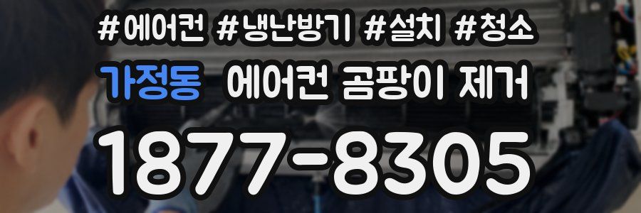 가정동 에어컨 곰팡이 제거