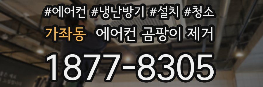 가좌동 에어컨 곰팡이 제거