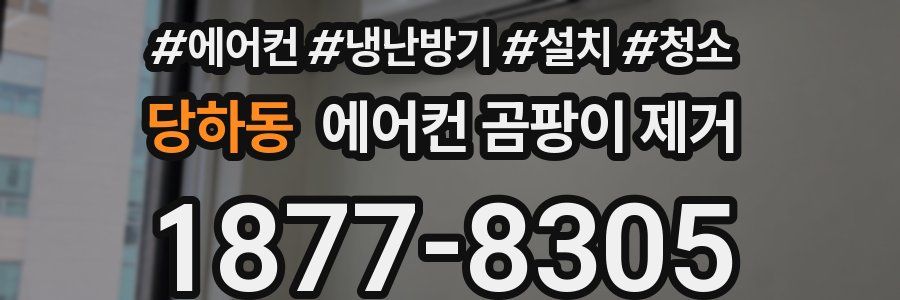 당하동 에어컨 곰팡이 제거