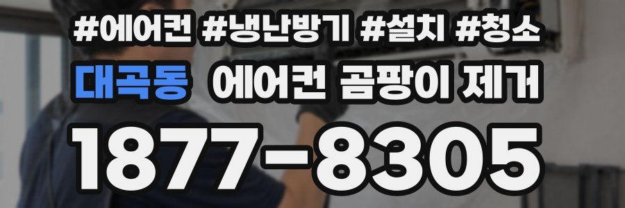 대곡동 에어컨 곰팡이 제거