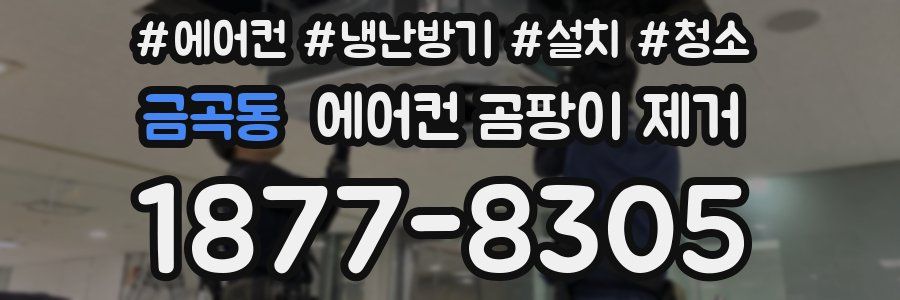금곡동 에어컨 곰팡이 제거
