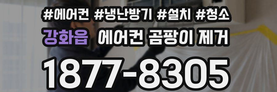 강화읍 에어컨 곰팡이 제거
