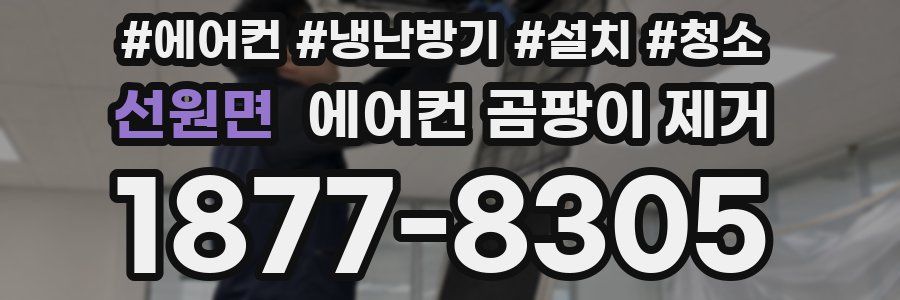 선원면 에어컨 곰팡이 제거