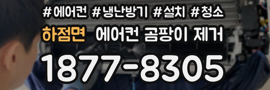 하점면 에어컨 곰팡이 제거