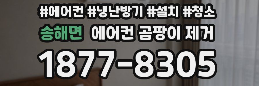 송해면 에어컨 곰팡이 제거