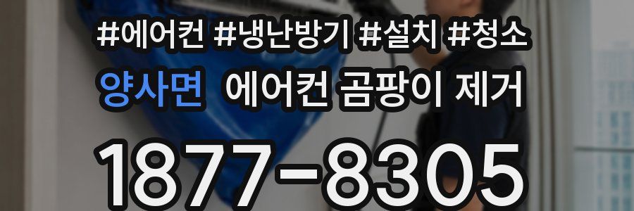 양사면 에어컨 곰팡이 제거
