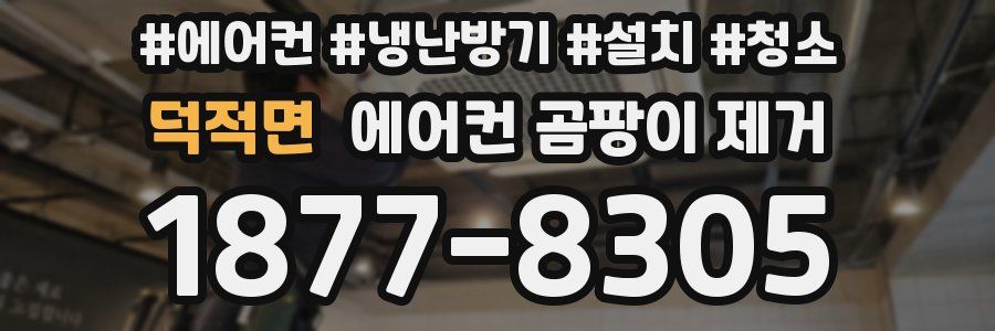덕적면 에어컨 곰팡이 제거