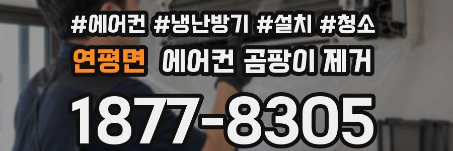 연평면 에어컨 곰팡이 제거