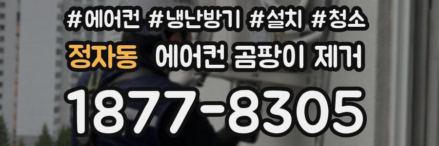 정자동 에어컨 곰팡이 제거