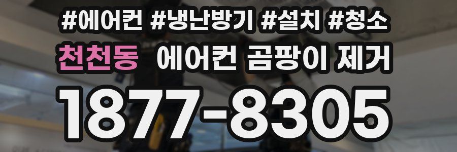 천천동 에어컨 곰팡이 제거