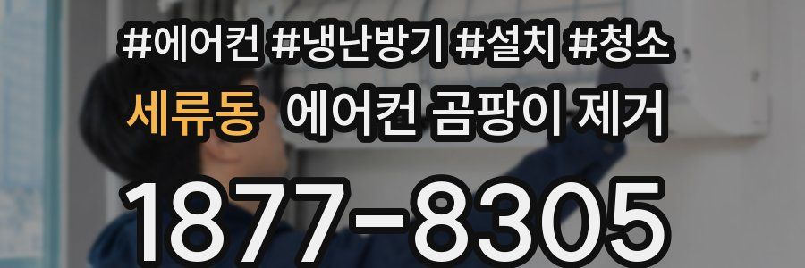 세류동 에어컨 곰팡이 제거