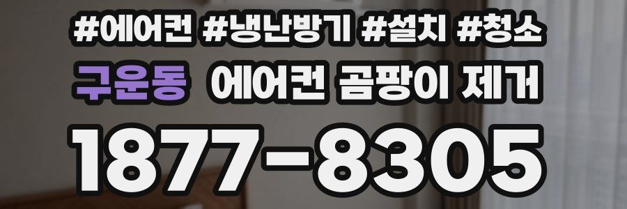 구운동 에어컨 곰팡이 제거