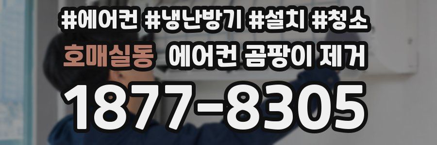 호매실동 에어컨 곰팡이 제거
