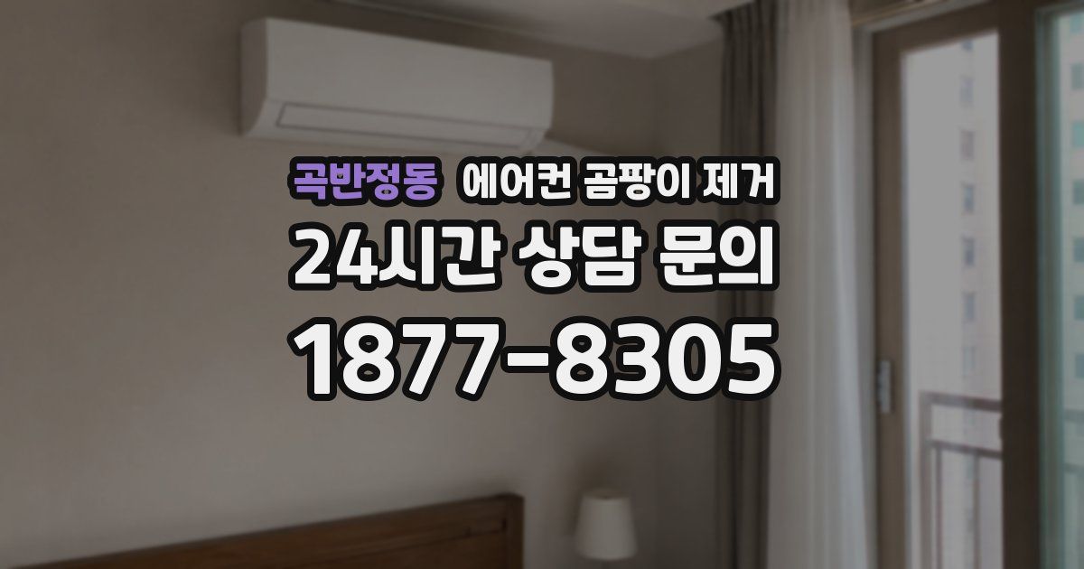 곡반정동 에어컨 곰팡이 제거