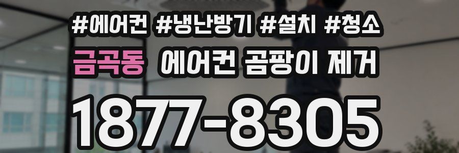 금곡동 에어컨 곰팡이 제거