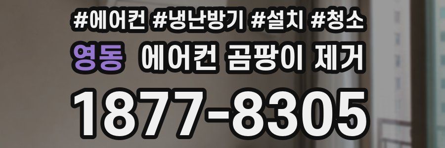 영동 에어컨 곰팡이 제거