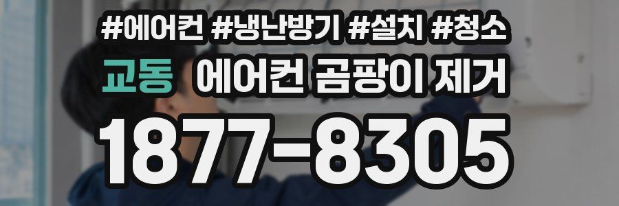 교동 에어컨 곰팡이 제거