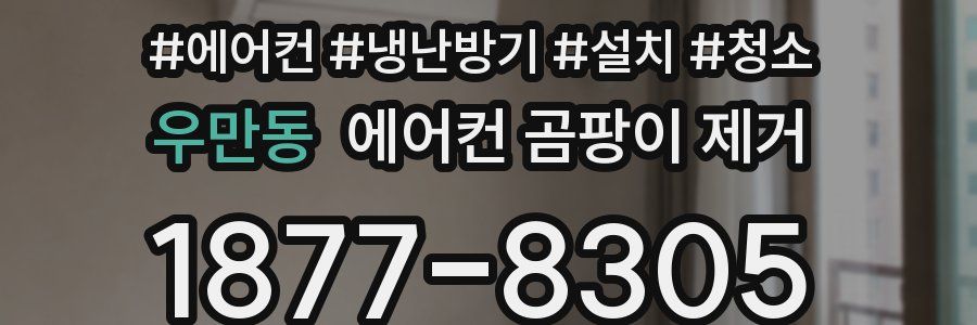우만동 에어컨 곰팡이 제거